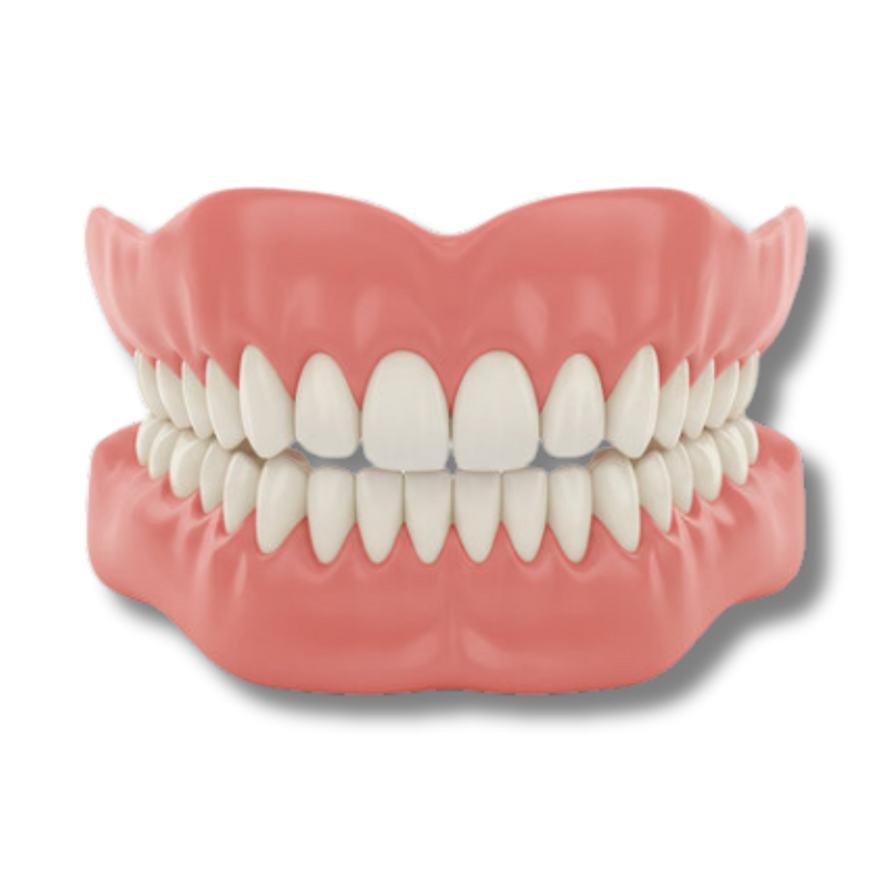 Zoovela™ - Denture Set