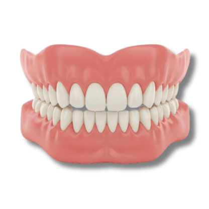 Zoovela™ - Denture Set
