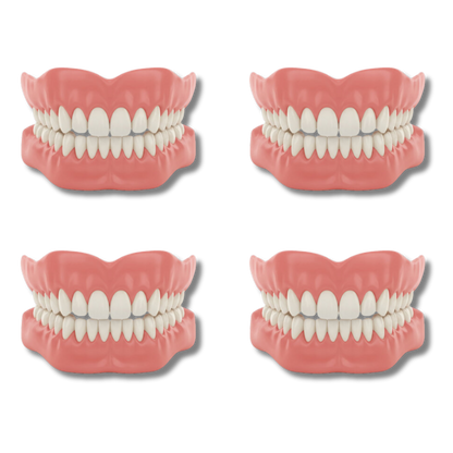 Zoovela™ - Denture Set